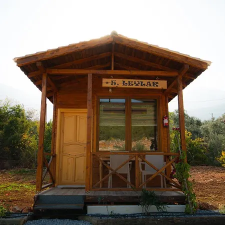 Alpstar & Restaurant B&B