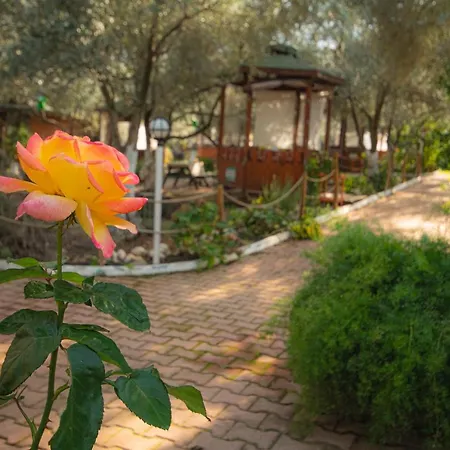 فندق مبيت وإفطار Alpstar & Restaurant Geyikbayiri