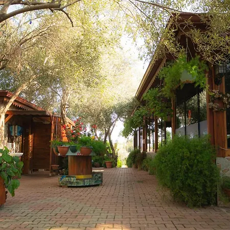 فندق مبيت وإفطار Alpstar & Restaurant Geyikbayiri