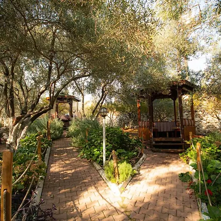 Alpstar & Restaurant 3* Geyikbayiri