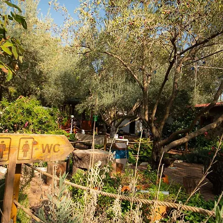 Alpstar & Restaurant 3*