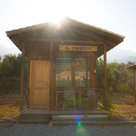 Bed and breakfast Alpstar Camping&restaurant