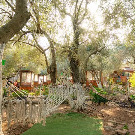 לינה וארוחת בוקר Alpstar & Restaurant Geyikbayiri