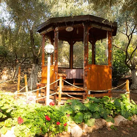 Alpstar & Restaurant לינה וארוחת בוקר 3*