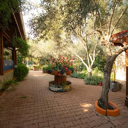 Alpstar & Restaurant 3* Geyikbayiri