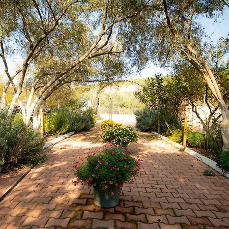 Alpstar & Restaurant לינה וארוחת בוקר 3*