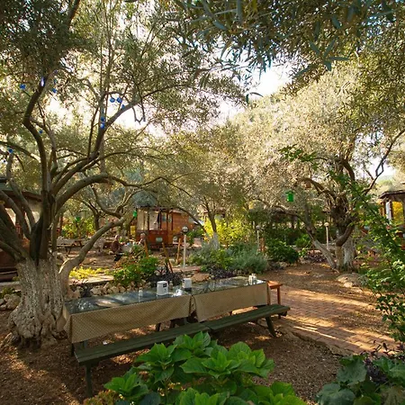 Alpstar & Restaurant לינה וארוחת בוקר Geyikbayiri