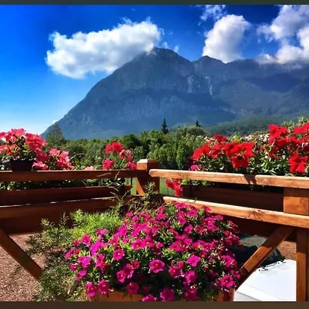 Alpstar & Restaurant לינה וארוחת בוקר